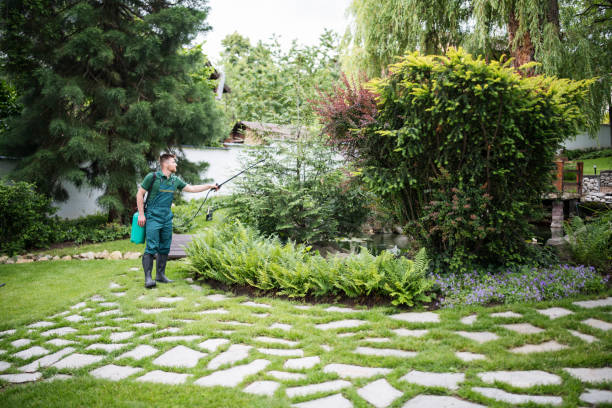  Elk Ridge, UT Tree Services Pros